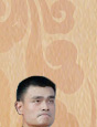 光荣与梦想,奥运点火,中国旗手,宣誓人,李宁,姚明,张怡宁,2008奥运,奥运